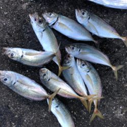 呪縛からの解放