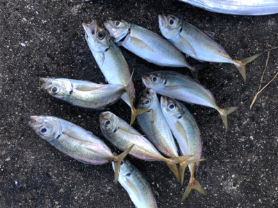 呪縛からの解放