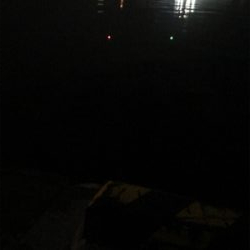 いるのはいる。