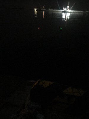 いるのはいる。