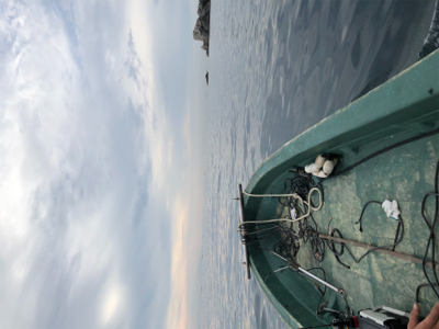 ボートエギング