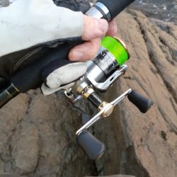 第二回秋アオリイカ調査隊