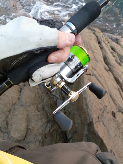 第二回秋アオリイカ調査隊