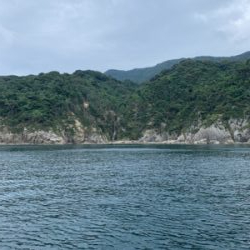 マイボートでティップラン釣行