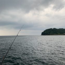 初とっとパーク