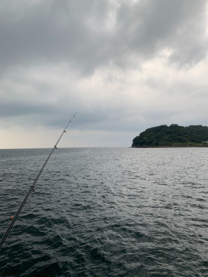 初とっとパーク