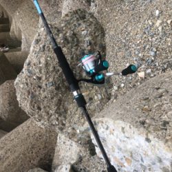 楽しめましたよ