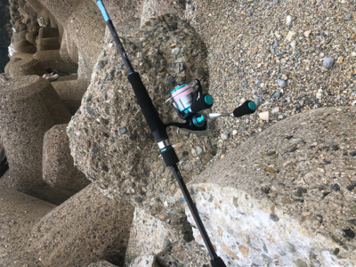 楽しめましたよ