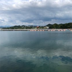 あきらめムードから一転❗️新子連発?❗️❗️