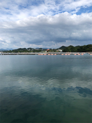 あきらめムードから一転❗️新子連発?❗️❗️