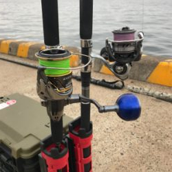 朝マズメ‼️青物連発‼️