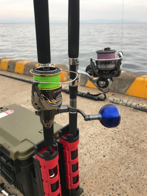 朝マズメ‼️青物連発‼️