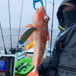 アマダイ50cm自己新記録!友人とマイボートでアマダイ狙い