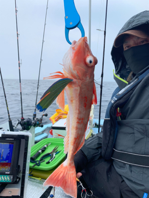 アマダイ50cm自己新記録!友人とマイボートでアマダイ狙い