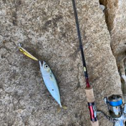 ジャークソニックでサバ