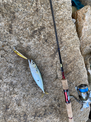 ジャークソニックでサバ