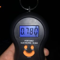 初サーフエギング