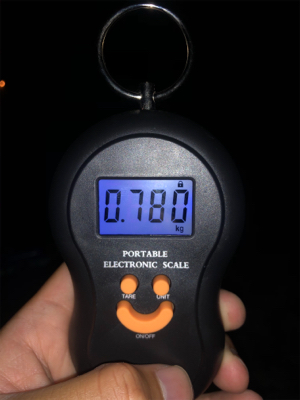 初サーフエギング