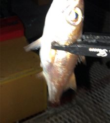 開始から11時間後に!!