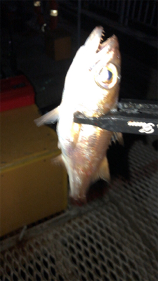 開始から11時間後に!!