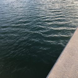 サーベルさんウジャウジャ