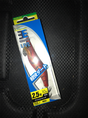 久しぶりの数釣りエギング\(^o^)/