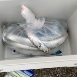 タチゲーム最終章