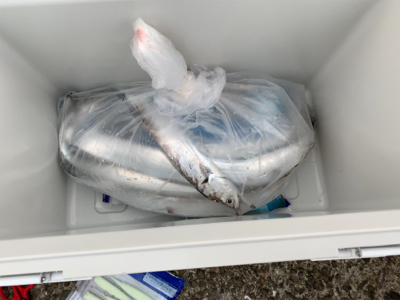 タチゲーム最終章