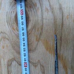 ヤバいやつ釣れました！