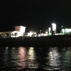 台風一過のアジング