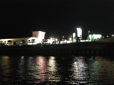 台風一過のアジング