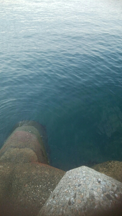 障泥烏賊連チャンで5杯！