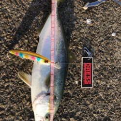 やっと俺のターン