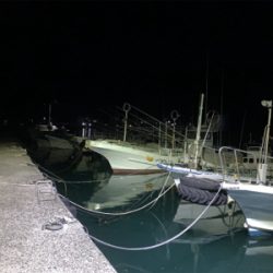 台風後アジング