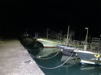 台風後アジング