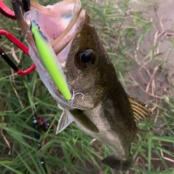 仕事帰りに(°▽°)