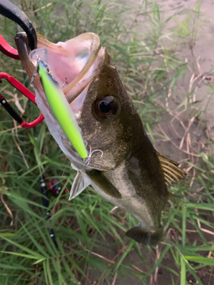 仕事帰りに(°▽°)