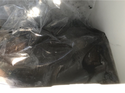 初ティップラン