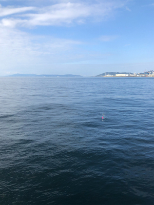 新波止にて朝練