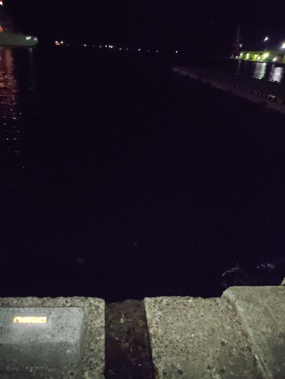 アジングデビュー