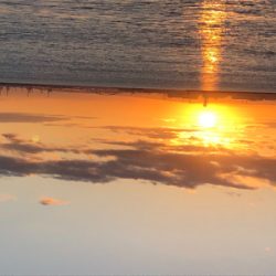 大混雑の武庫川一文字へ