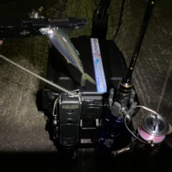 アジング人多過ぎ