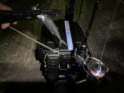 アジング人多過ぎ