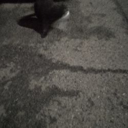 アジング練習 199