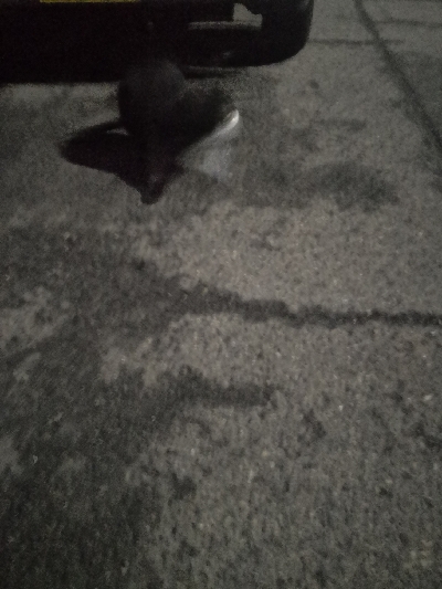 アジング練習 199