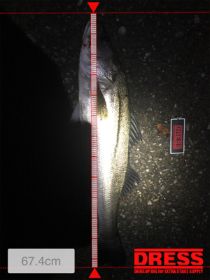 パラガス様々♪