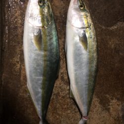 雨で足元が悪い中