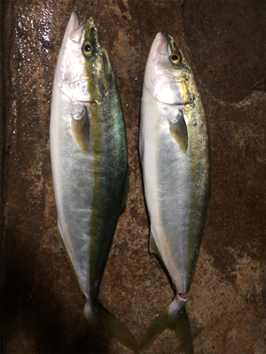 雨で足元が悪い中