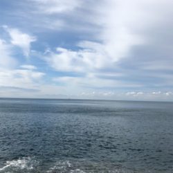 ホームポイントに魔物が