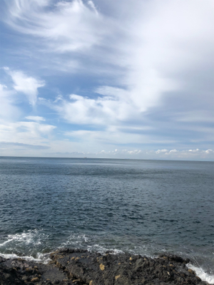 ホームポイントに魔物が